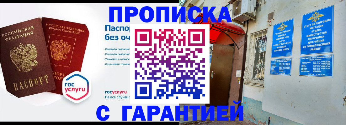 прописка законно в Светлограде