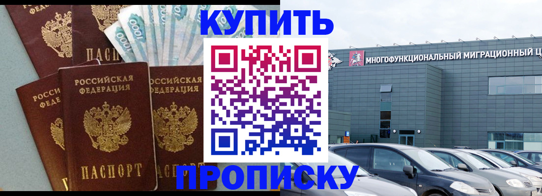 прописка штамп в Светлограде